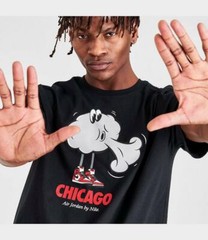 CU2103-010 New with tag Men Air Jordan Chicago Wind t-shirt short sleeve shirt