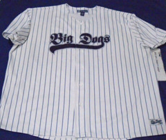 Big Dogs 83 Pinstripe Baseball Button-Up Embroidered Jersey Adult Size 4X