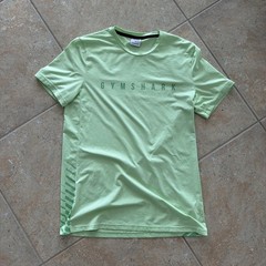 Gymshark Men’s Small Light Green Short Sleeve Spellout Logo Fitness T-Shirt