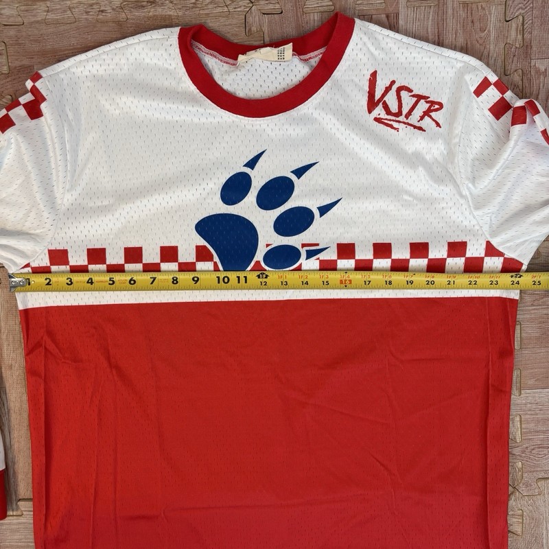 VSTR Jersey Men's Large Long Sleeve International Thug Bear Red White Blue Bike gallery