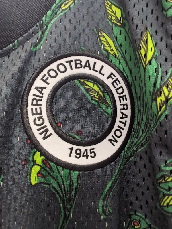 NIKE NIGERIA SOCCER BASKETBALL JERSEY (M) CU1399-302 GREEN gallery