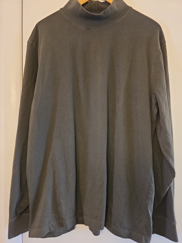 LL Bean Mens Mock Neck Shirt Large Reg Green Outdoor Casual Traditional Fit gallery