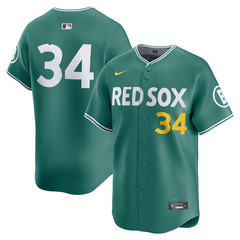 Nike David Ortiz City Connect Boston Red Sox Limited Jersey Mens Green Monster