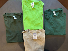 3 Youth Medium T-Shirts, One Youth Small T-Shirt, Gildan/Jerzees (D BE)