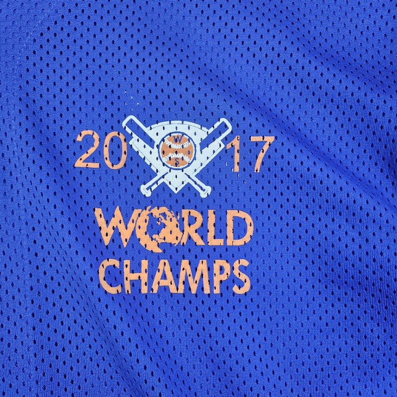 Eagle USA Baseball Jersey Shirt Mens XL Blue 2017 World Champs Springer gallery