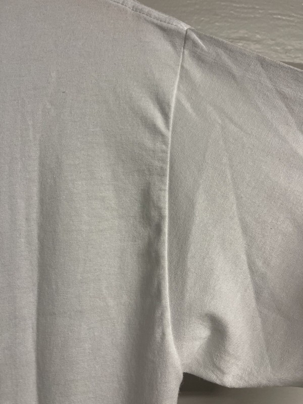 VTG Hanes Heavyweight 50/50 SYLVANDALE 20TH ANN TURKEY TROT BIG BEAR LOGO 🔥 gallery