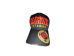 Cap Hat US FLAG WARRIORS MARINE VETERAN Baseball Patriot Flat Pink Sister Ghost