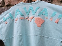 Spirit Jersey Hawaii Islands Mint Green Puff Print Oversized XL