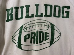 Champion Bulldog Pride Thrashed Single Stitch Vintage Vtg Football Jersey LARGE