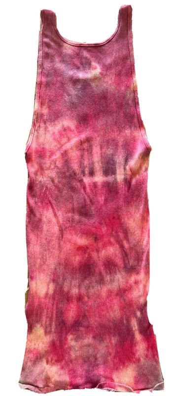 Men's Hanes Tank Top: Tranquil Sunset gallery