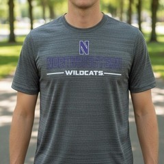Colosseum Northwestern Wildcats Mens Charcoal Heather Performance T-Shirt Large