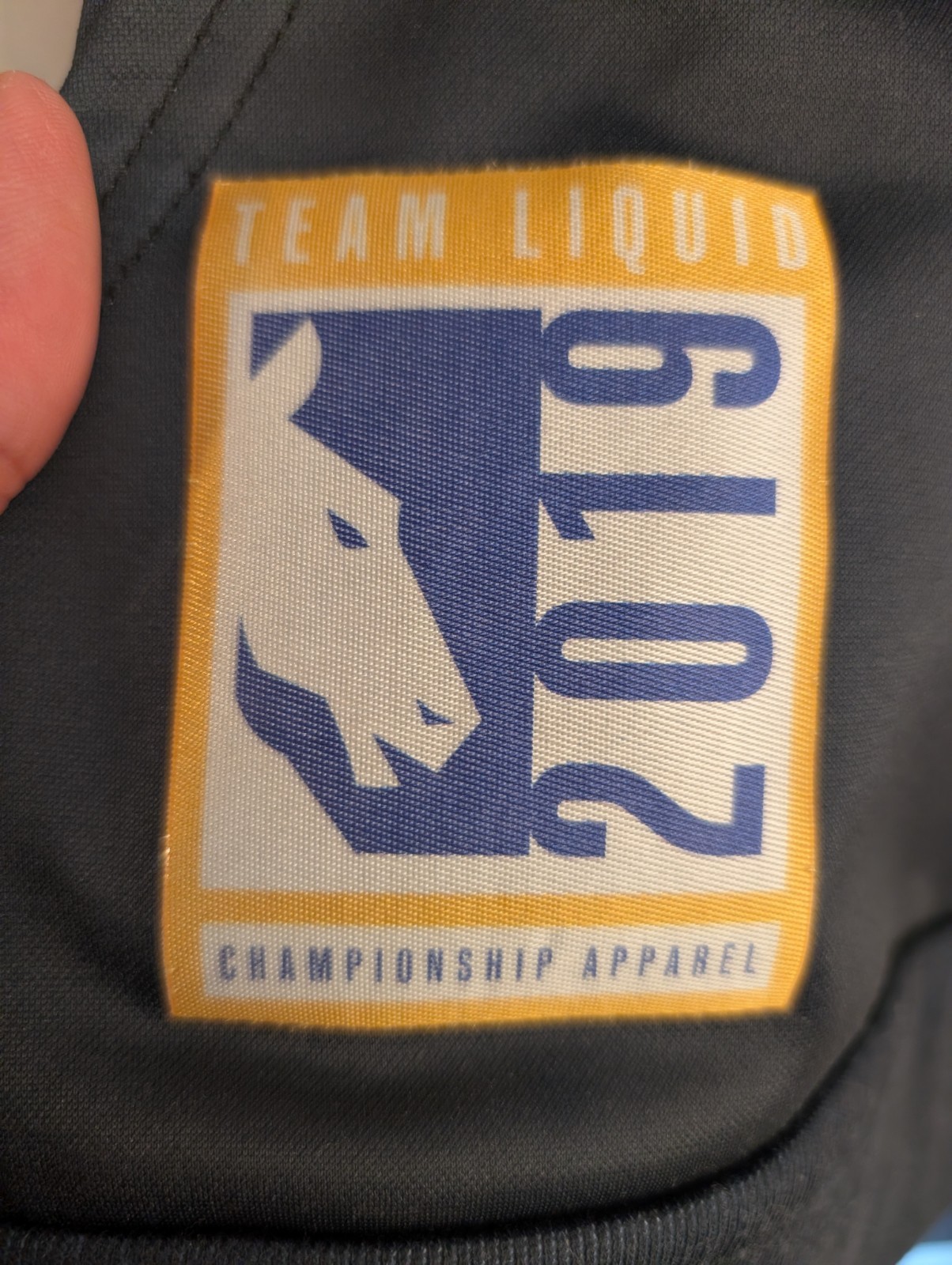 Team Liquid Men's XL Legends World Championships ESports 2019 RMN- Jersey Hoodie gallery