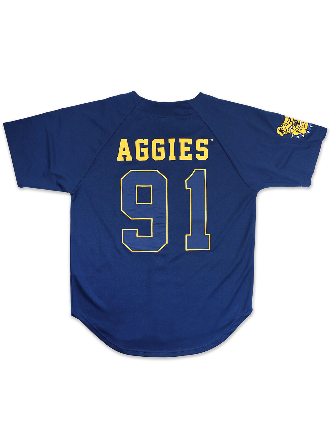 NORTH CAROLINA A&T UNIVERSITY BASEBALLL JERSEY HBCU College Baseball Jersey gallery