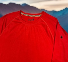 Smartwool T Shirt Mens Large Red Merino Wool Baselayer Short Sleeve Lightweight