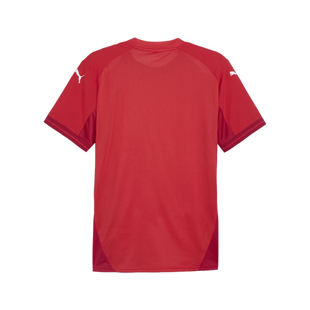 PUMA Teamfinal Crew Neck Short Sleeve Jersey Mens Red 70573701 gallery