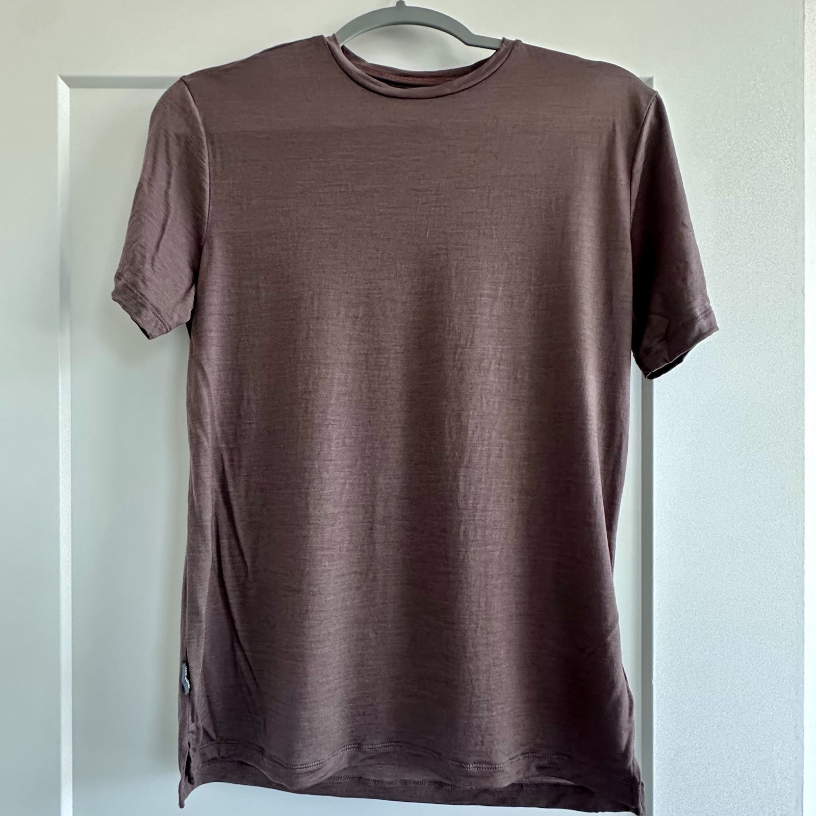 Icebreaker Merino Blend 125 Cool-Lite™ Sphere Short Sleeve Tee in Porcini gallery