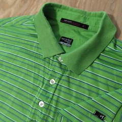 Nike Tiger Woods Collection Polo Shirt Green Dri-fit Golf Sport Men’s L Striped