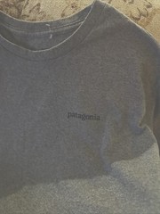 Patagonia Capilene Longsleeve Mountain T-shirt Men’s M – Gray