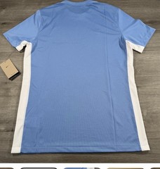 Nike Dri-FIT Shirt Mens Large Blue Slim Fit Chevron Soccer Jersey FD7417-448