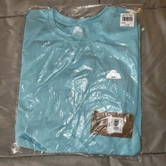 Men’s Essential Peak Eastern Mountain Sports Shirt