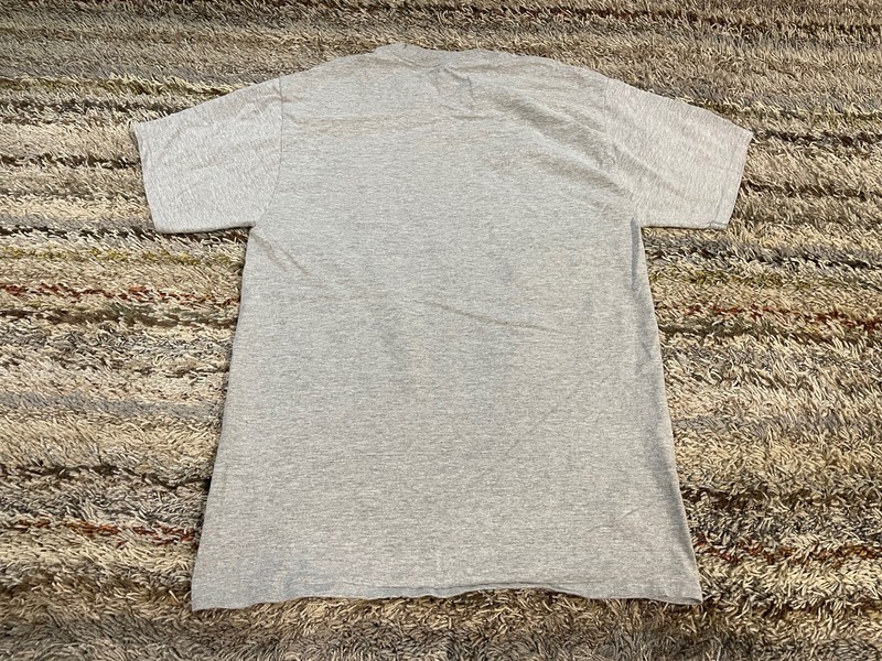 Champion Authentic Men's M Medium Classic Gray Blank T-Shirt Short Sleeve Crew gallery