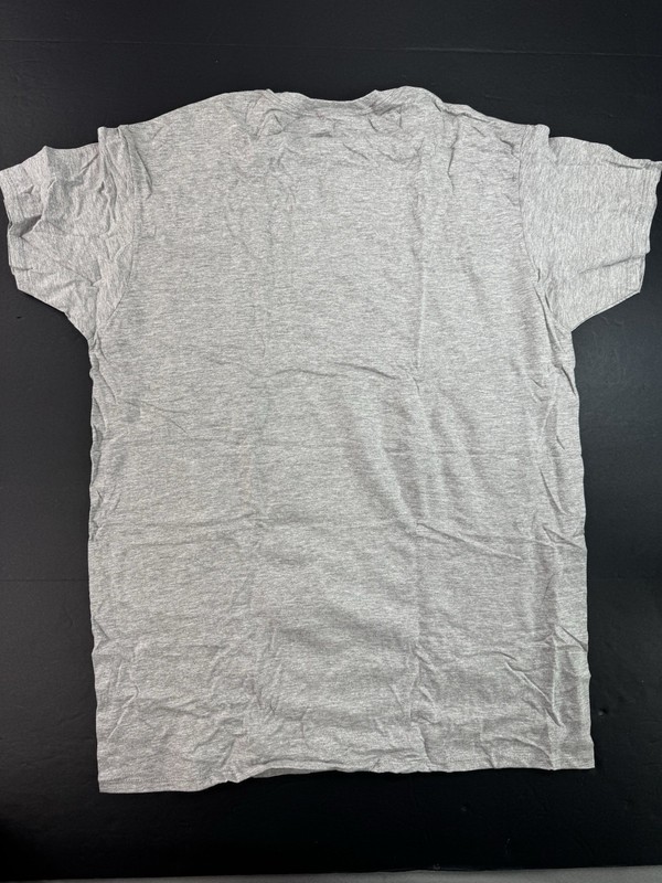 Fruit Of The Loom Mens T-Shirt Size Large Gray Short Sleeve NEW gallery