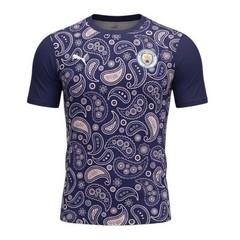 Puma Men’s Manchster City FC Stadium Jersey 2020-21 Size Medium Blue 758030-09