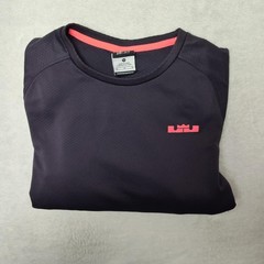 Nike Lebron Pullover Mens M Purple Long Sleeve Training Raglan Fearless 620666