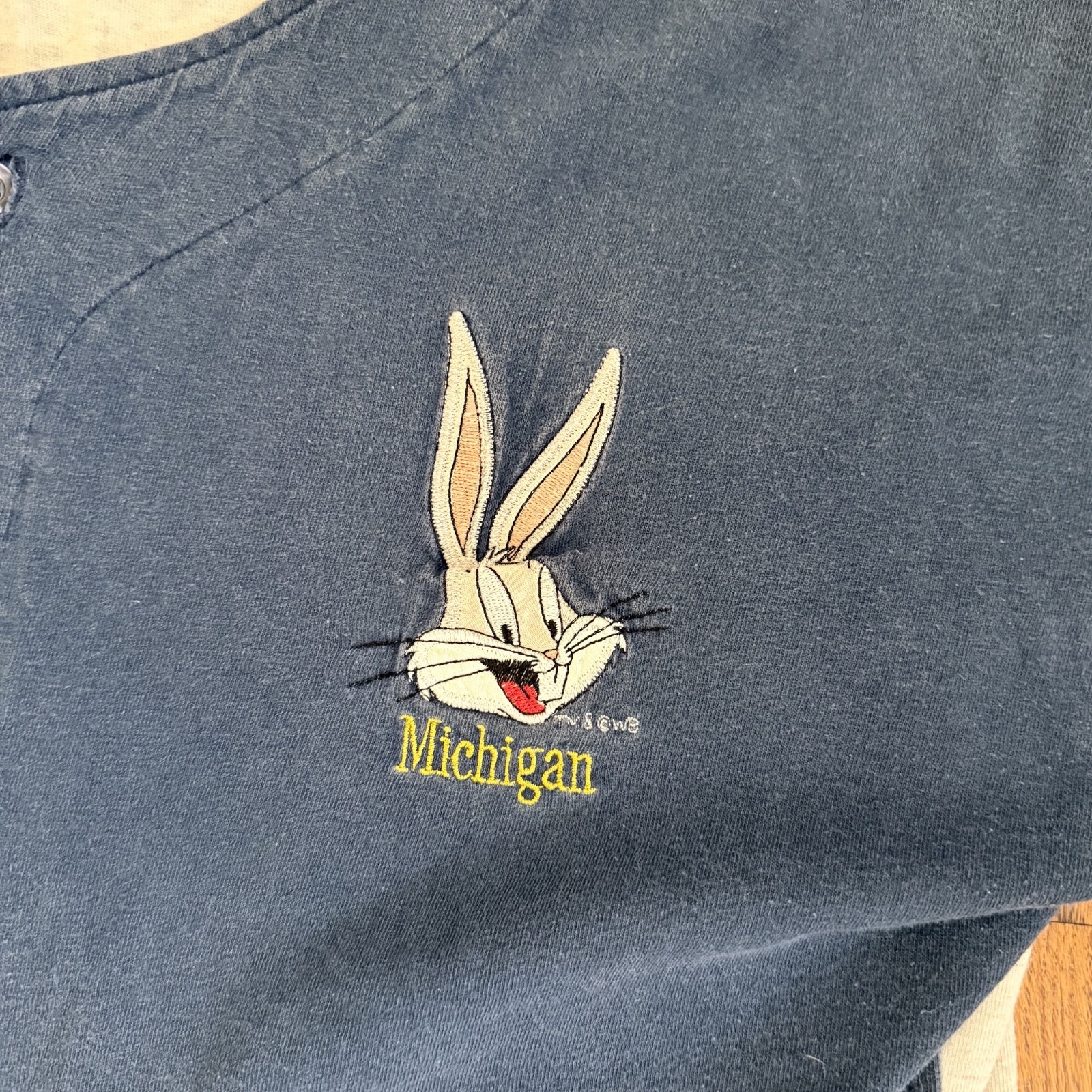 Rare Vintage COLLEGE WARE Bugs Bunny Michigan Jersey 90s Looney Tunes SZ OSFA gallery