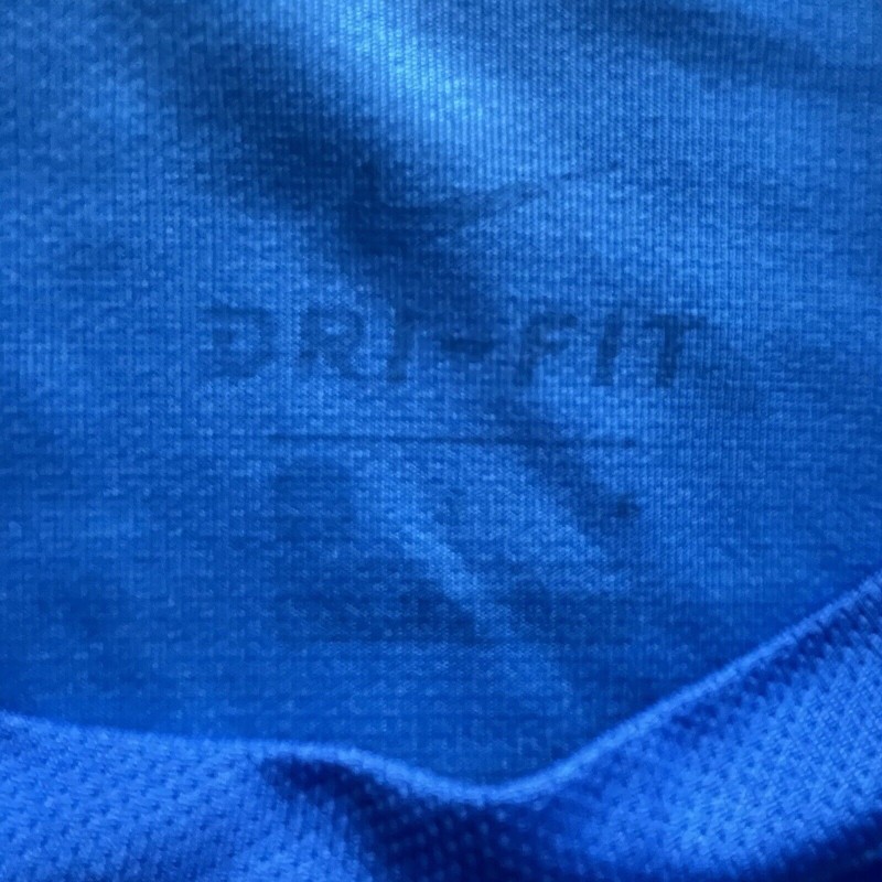 Nike Board Of Control India Cricket BCCI Match Jersey Authentic Blue Large Men gallery