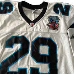 Vtg 1995 Carolina Panthers Jersey XL Steve Lofton Apex One Clemson Patch NFL