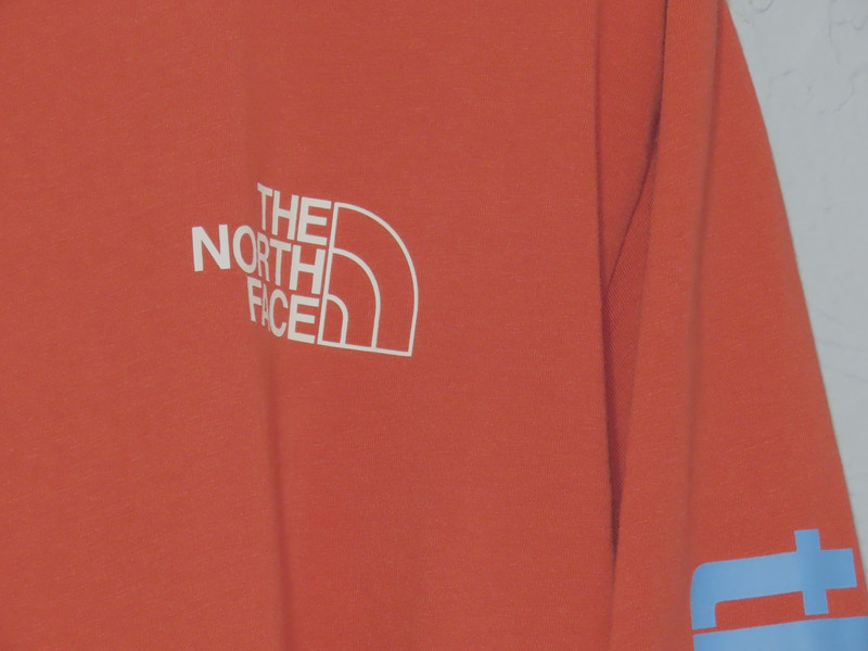 The North Face Men's L Long Sleeve T-shirt 1966 Alpine Equipment Back Graphic gallery