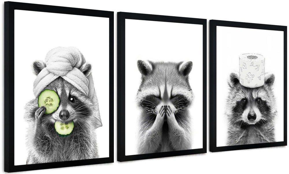 FYLDPSB 3Pcs Framed Raccoons Bathroom Canvas Wall Art Decor, Funny Animal Bathro