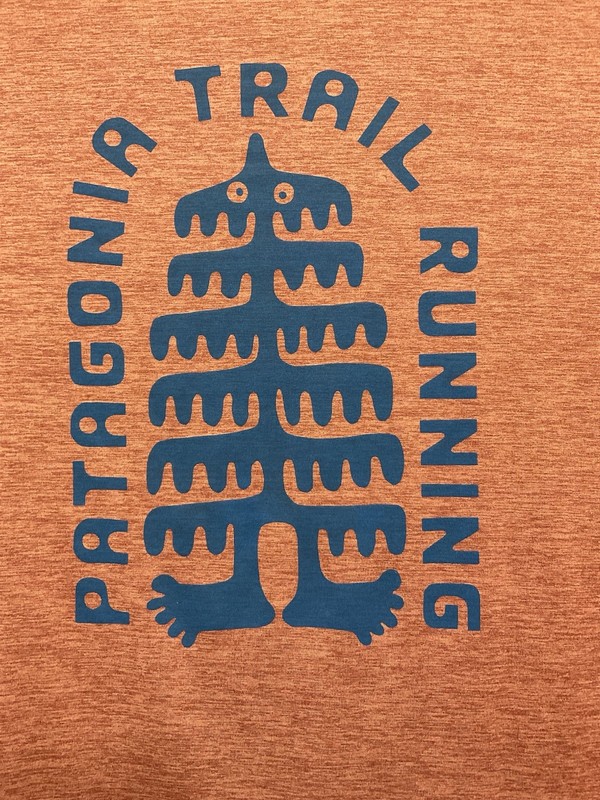 Patagonia Men's Rust Capilene Cool Daily Graphic Tree Trotter Shirt Small EUC gallery