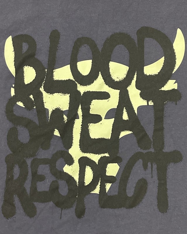 Under Armour Project Rock Q3 Payoff Blood Sweat Respect Mens M Blue Logo T-Shirt gallery