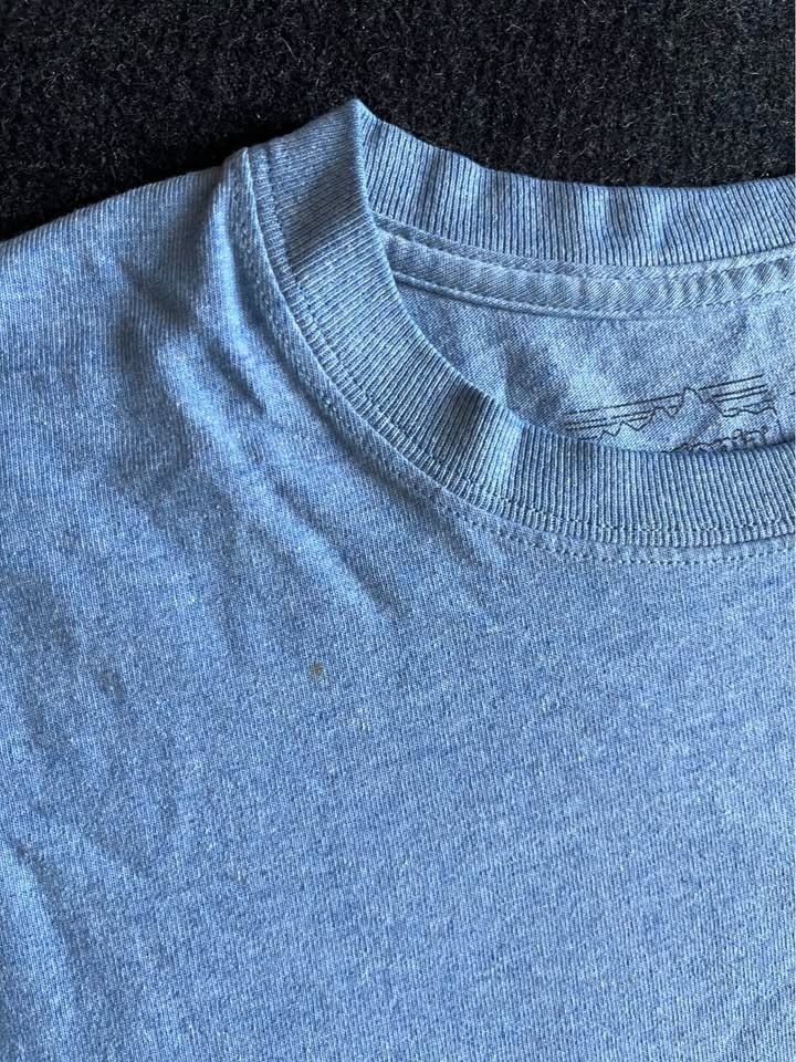 Patagonia Long Sleeve { Light Blue } gallery