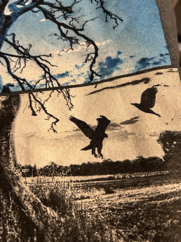 Tony Hawk Skateboarding Nature T Shirt Men XL Gray Short Sleeve Birds Trees gallery