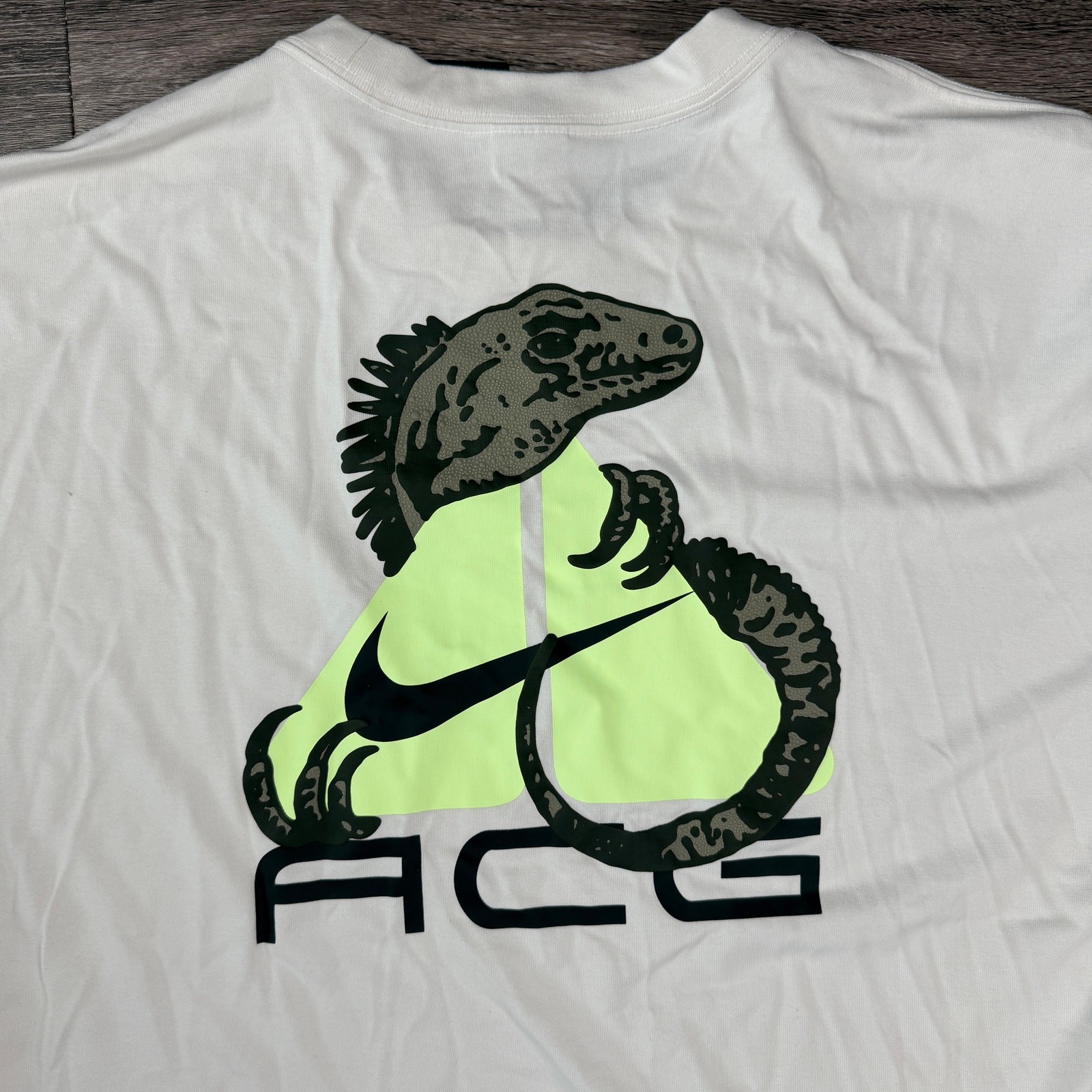 Nike ACG Dri-FIT ‘Iguana’ T-Shirt (Phantom Grey) Men’s XL HJ0884-030 NWT gallery