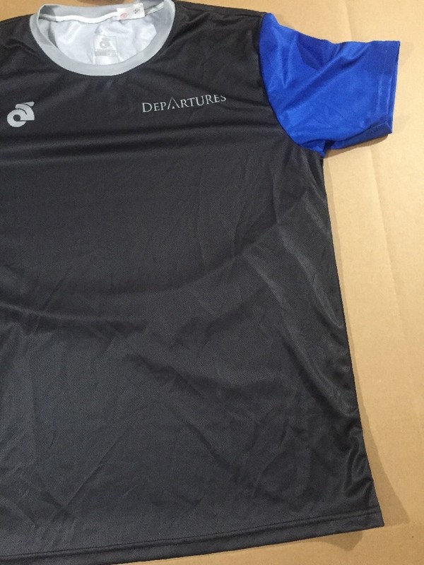 Champion System Mens Running Tech T Shirt Size Medium M (4850-69) gallery