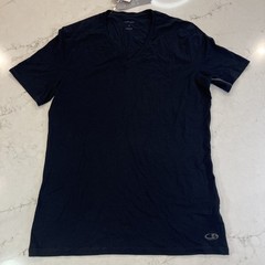 Icebreaker NEW Anatomica V-Neck Shirt Mens L Short Sleeve Wool Blend Base Layer