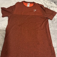 Gymshark T-Shirt Mens (L) Burgundy Vital Seamless Training Top Lookalike Phantom