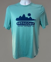 Patagonia Capilene Cool Daily Logo Graphic Shirt Men’s XS Active T-Shirt Teal
