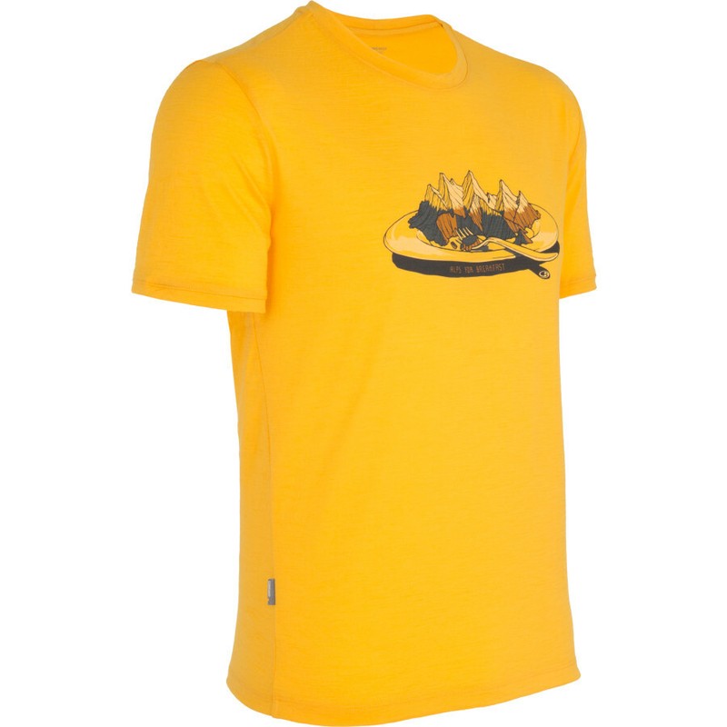 ICEBREAKER Merino WOOL The NZ ALPS FOR BREAKFAST Tech T Lite SHIRT Mens size XXL gallery