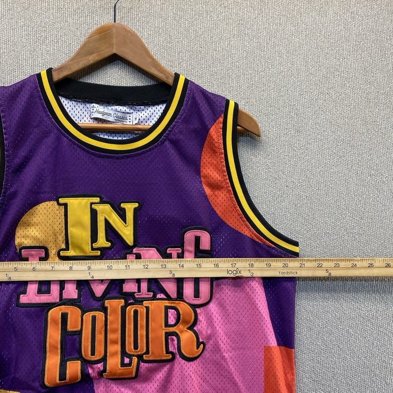 Vintage 90s Headgear Classics “In Living Color” Basketball Jersey Medium Retro gallery