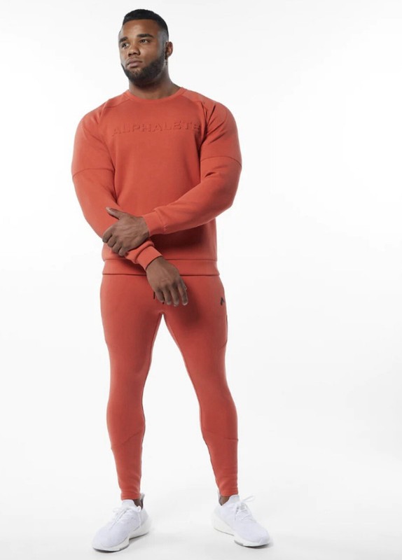 Alphalete ELMTS Long Sleeve Pullover - Orange , Size XL gallery
