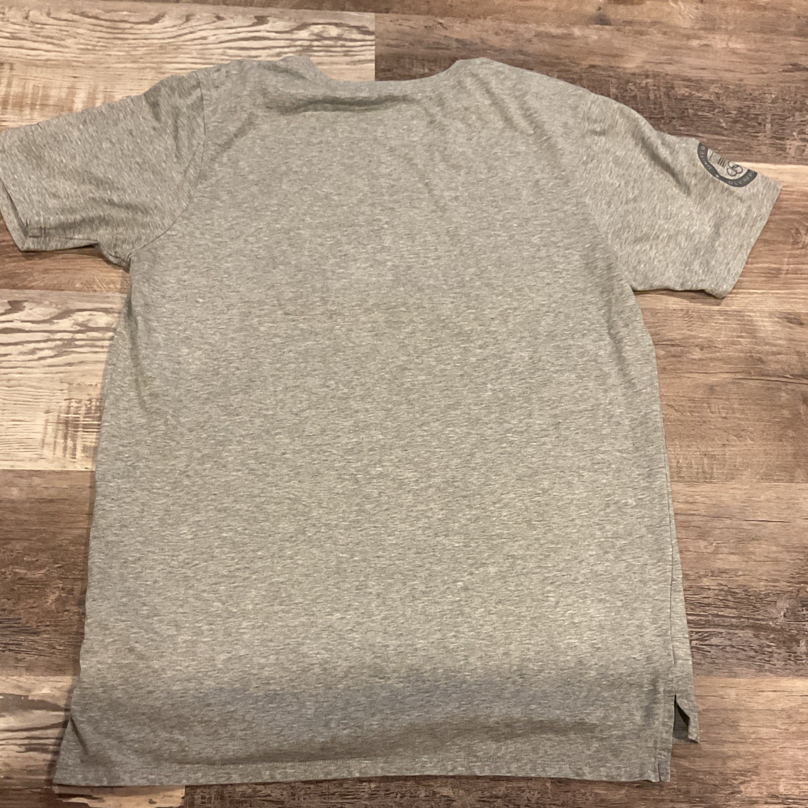 Nike Dri-FIT USA Olympic Team Graphic Tee Gray Men's M Short Sleeve Crew gallery
