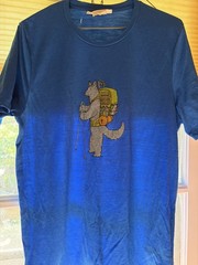 Icebreaker Merino 150 Tech Lite T-Shirt Men’s M Blue 100% Merino Wool Hiking