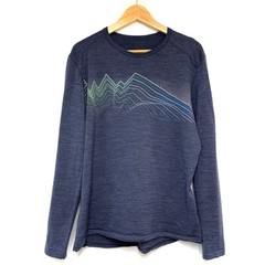 Icebreaker Men’s M/L BODYFIT 200 Oasis LS Equalizer Wool Base Layer Graphic Top