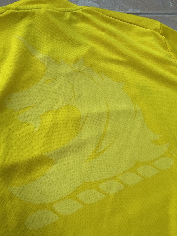 Adidas 2015 Boston Marathon Long Sleeve Shirt Large Yellow CLIMALITE gallery