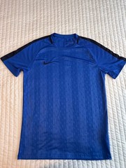 Nike Dri-FIT Men’s Blue/Black Logo T-Shirt M Crew Neck Short Sleeve Poly
